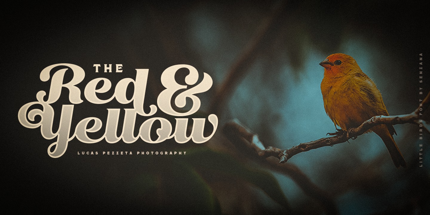 Пример шрифта Little Birds Script #8